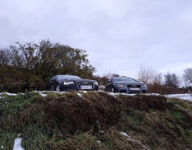 Zwei Audi Taxis zwischen Sträuchern in der Wachau